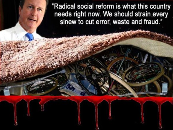 Cameron soc reform