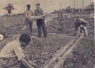 Self BuildScan 7 copy 4