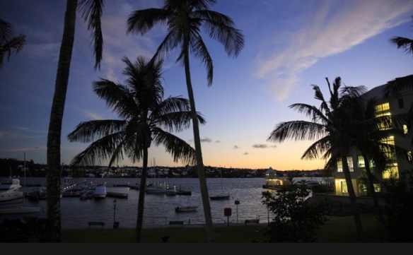 Image 19-11-2019 at 11.47