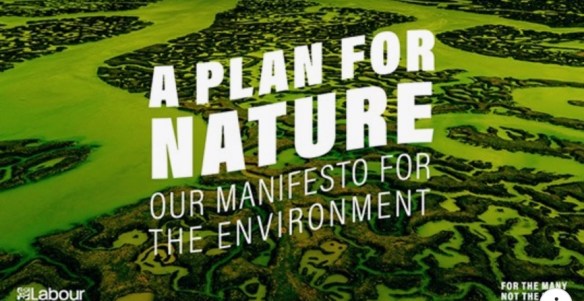 Image 28-11-2019 at 11.16