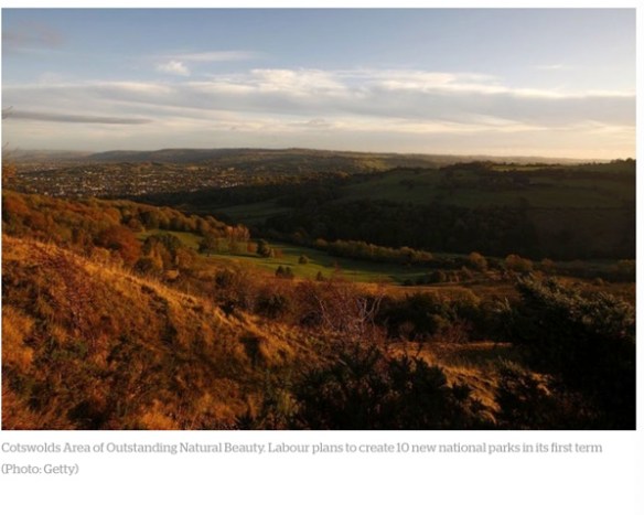 Image 28-11-2019 at 11.24